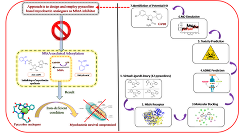 Proposed in-silico study